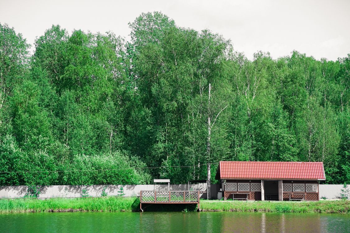 A tranquil lake scene with a wooden dock and house set against a backdrop of lush green trees