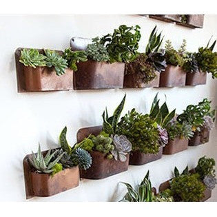 Rust Wall Planter